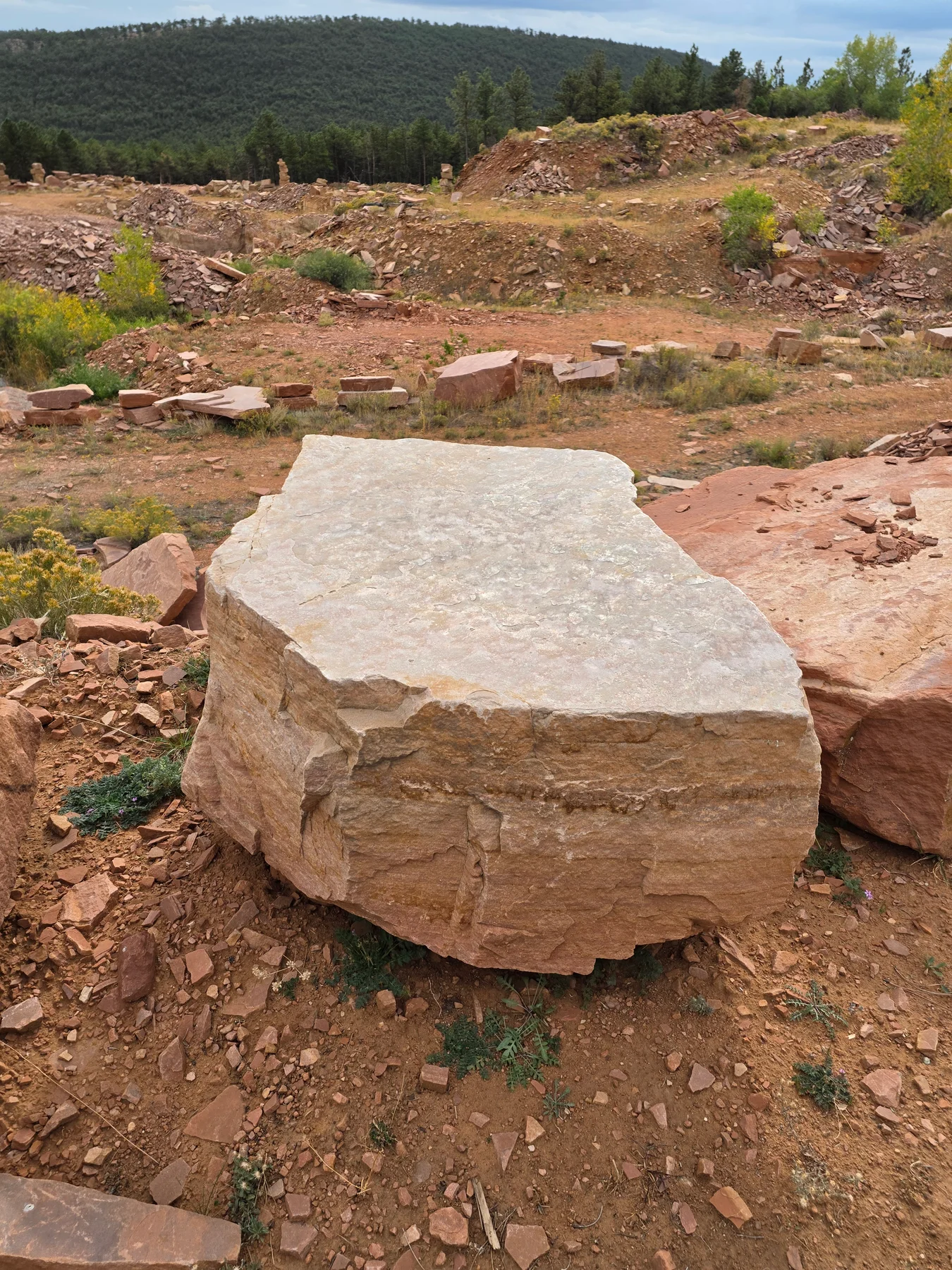 Thick sandstone boulder with a broad natural face at the quarry
